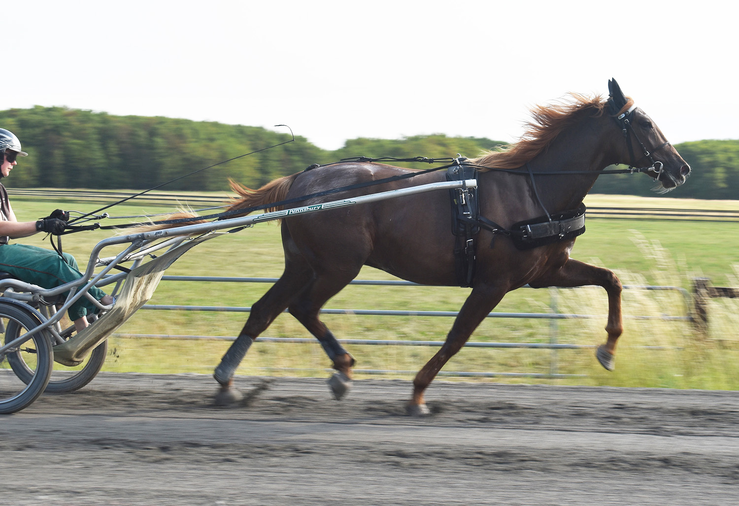 Elaking 210713-2